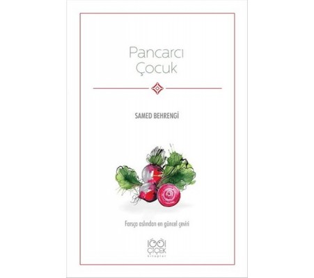 Pancarcı Çocuk Pancarcı Çocuk