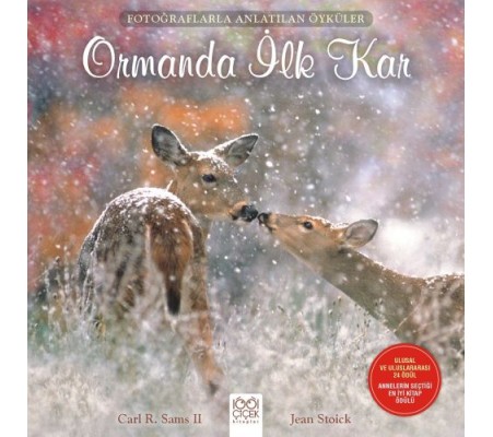 Fotoğraflarla Anlatılan Öyküler - Ormanda İlk Kar Fotoğraflarla Anlatılan Öyküler - Ormanda İlk Kar