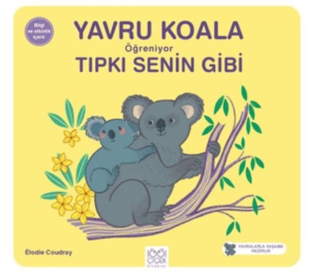 Yavru Koala Öğreniyor Tıpkı Senin Gibi Yavru Koala Öğreniyor Tıpkı Senin Gibi