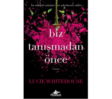 Biz Tanışmadan Önce Biz Tanışmadan Önce