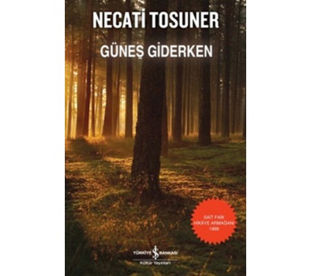 Güneş Giderken Güneş Giderken