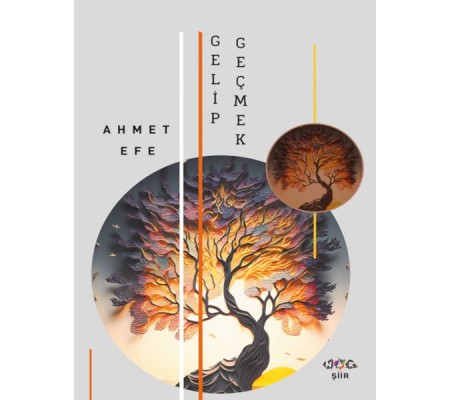 Gelip Geçmek Gelip Geçmek