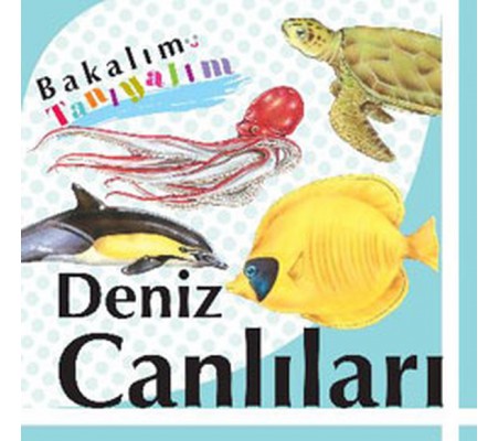 Bakalım Tanıyalım Deniz Canlıları (Ciltli)