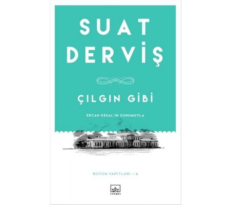 Çılgın Gibi Çılgın Gibi