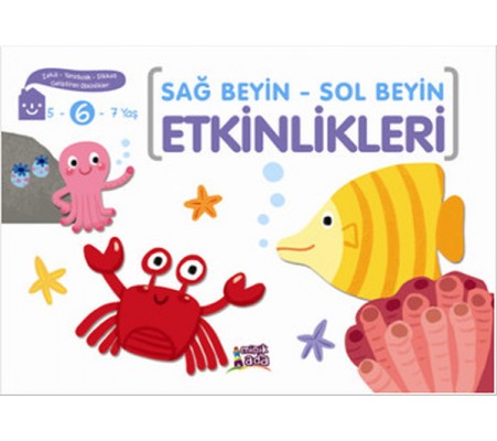 Sağ Beyin - Sol Beyin Etkinlikleri (6 Yaş)