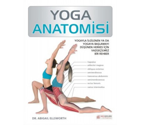 Yoga Anatomisi Yoga Anatomisi
