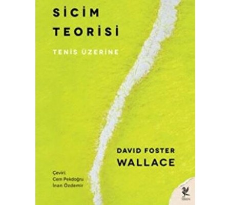 Sicim Teorisi Sicim Teorisi