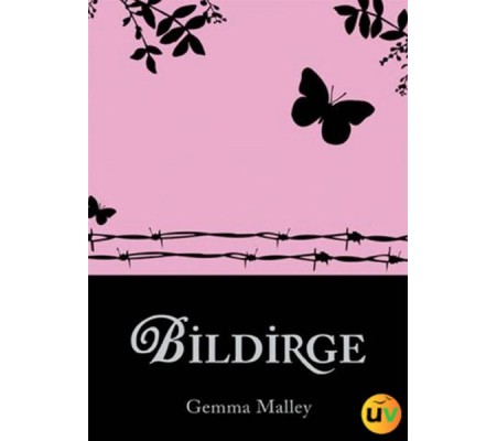 Bildirge