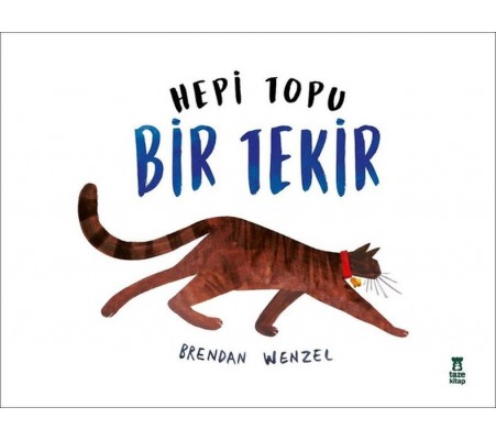 Hepi Topu Bir Tekir Hepi Topu Bir Tekir