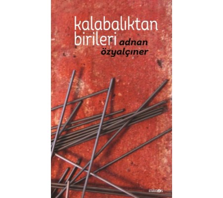 Kalabalıktan Birileri (Ciltli)