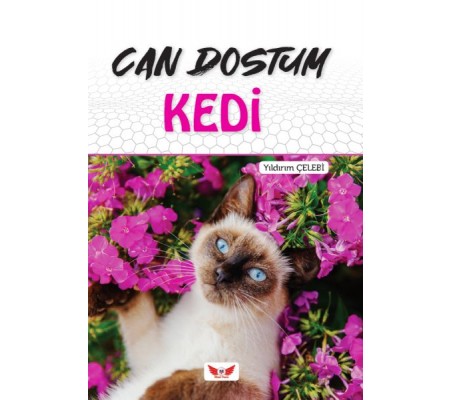 Can Dostum Kedi