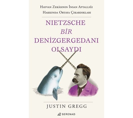 Nietzsche Bir Denizgergedanı Olsaydı Nietzsche Bir Denizgergedanı Olsaydı