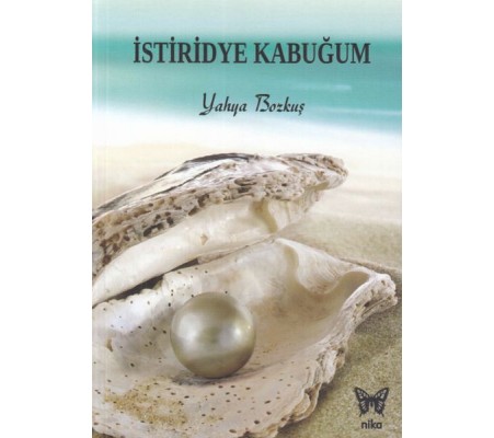 İstiridye Kabuğum İstiridye Kabuğum