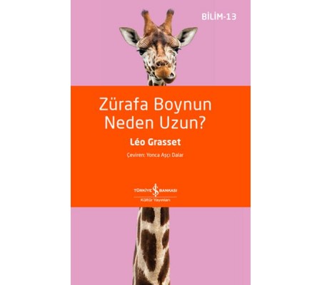 Zürafa Boynun Neden Uzun? Zürafa Boynun Neden Uzun?
