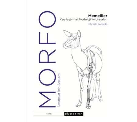 Morfo - Memeliler Karşılaştırmalı Morfolojinin Unsurları Morfo - Memeliler Karşılaştırmalı Morfolojinin Unsurları