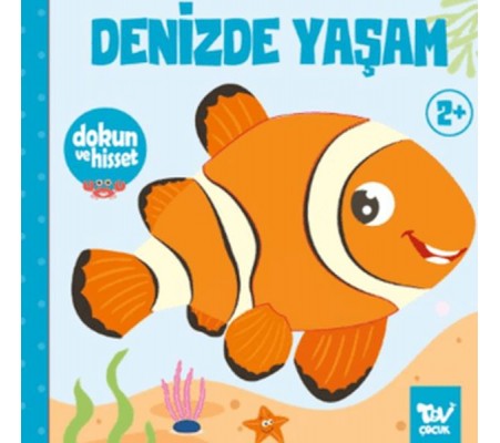 Dokun ve Hisset Denizde Yaşam