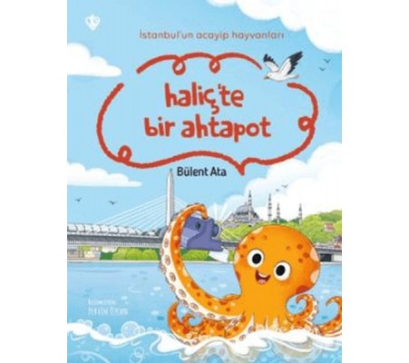 İstanbul'un Acayip Hayvanları Haliçte Bir Ahtapot