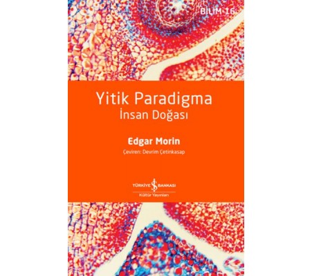 Yitik Paradigma: İnsan Doğası Yitik Paradigma: İnsan Doğası