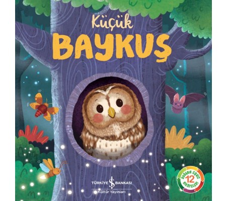 Küçük Baykuş Küçük Baykuş