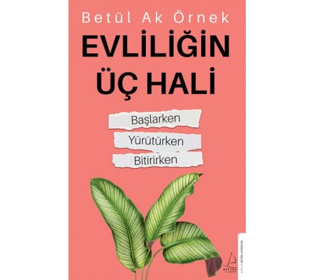 Evliliğin Üç Hali Evliliğin Üç Hali