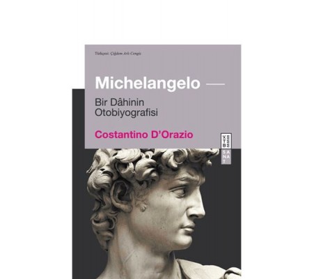 Michelangelo Michelangelo