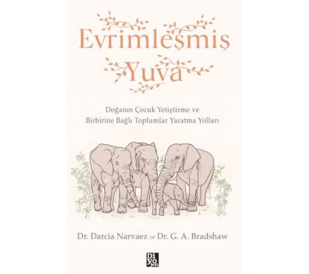 Evrimleşmiş Yuva Evrimleşmiş Yuva