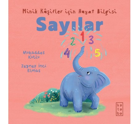 Minik Kâşifler için Hayat Bilgisi - Sayılar