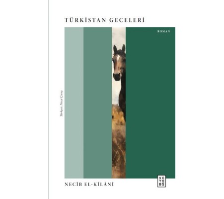 Türkistan Geceleri Türkistan Geceleri