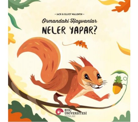 Ormandaki Hayvanlar Neler Yapar? Ormandaki Hayvanlar Neler Yapar?