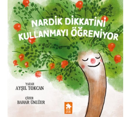 Nardik Dikkatini Kullanmayı Öğreniyor Nardik Dikkatini Kullanmayı Öğreniyor