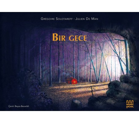 Bir Gece Bir Gece