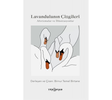Lavandulanın Çizgileri Lavandulanın Çizgileri