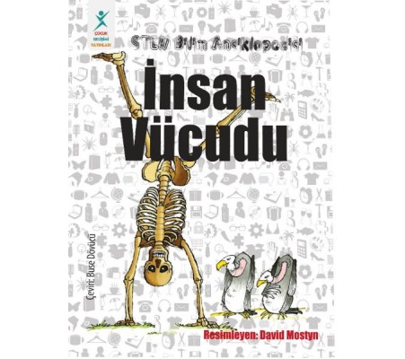 İnsan Vücudu İnsan Vücudu