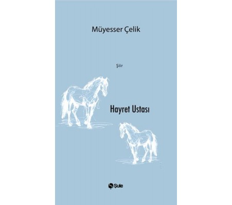 Hayret Ustası Hayret Ustası