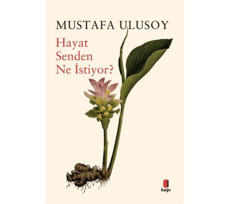 Hayat Senden Ne İstiyor? Hayat Senden Ne İstiyor?