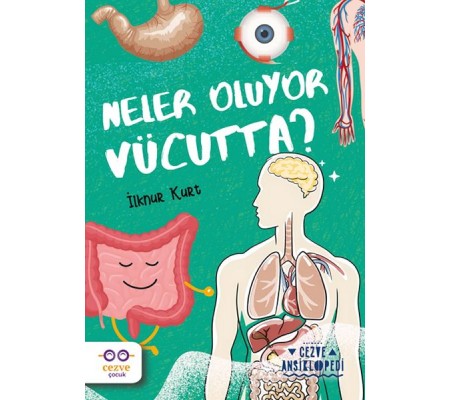 Neler Oluyor Vücutta ? – Cezve Ansiklopedi