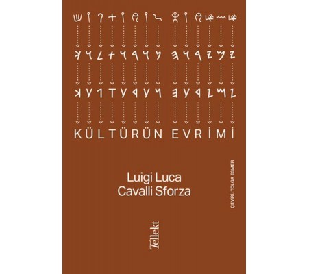 Kültürün Evrimi Kültürün Evrimi