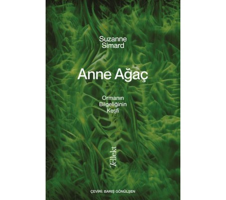 Anne Ağaç Anne Ağaç
