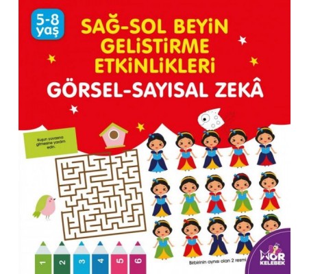 Sağ-Sol Beyin Geliştirme Etkinlikleri - Görsel-Sayısal Zeka