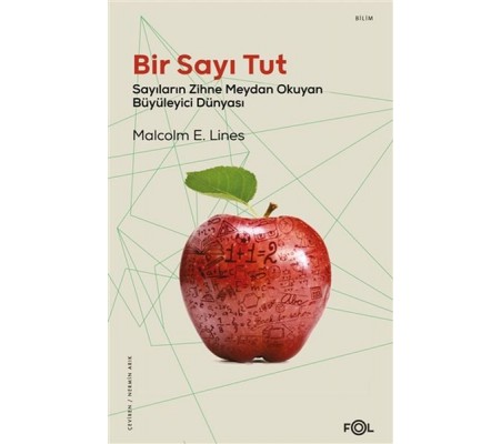 Bir Sayı Tut