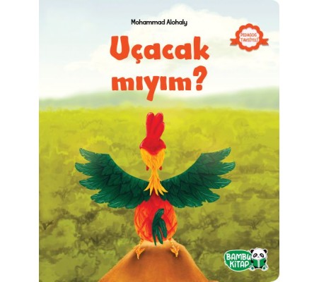 Uçacak mıyım?