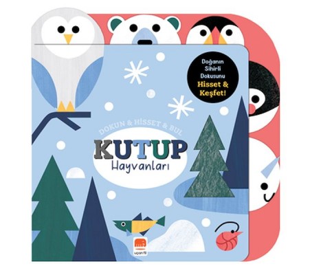 Dokun & Hisset & Bul Kutup Hayvanları
