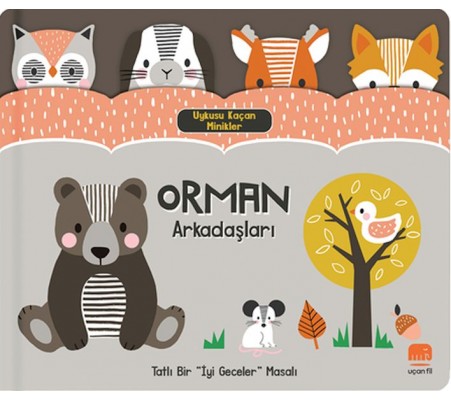 Uykusu Kaçan Minikler Orman Arkadaşları