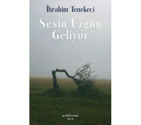 Sesin Üzgün Geliyor Sesin Üzgün Geliyor