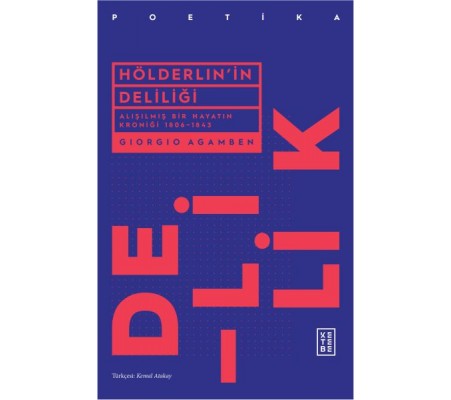 Hölderlin'in Deliliği Hölderlin'in Deliliği