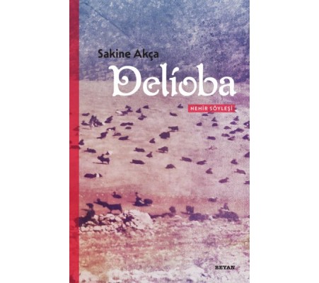 Delioba - Nehir Söyleşi Delioba - Nehir Söyleşi