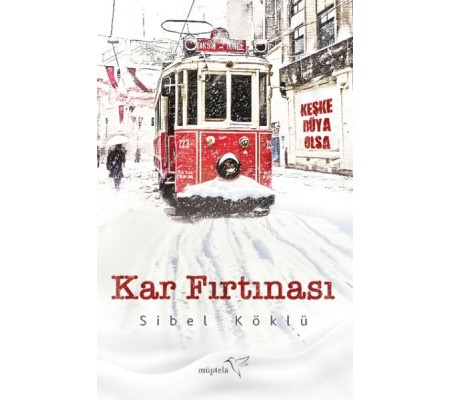 Kar Fırtınası Kar Fırtınası