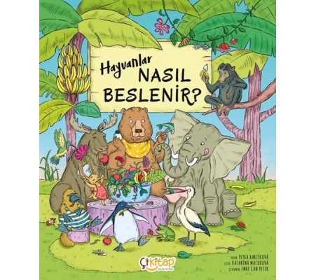 Hayvanlar Nasıl Beslenir ? Hayvanlar Nasıl Beslenir ?