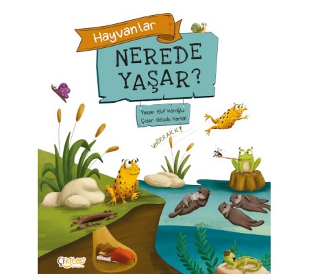 Hayvanlar Nerede Yaşar ? Hayvanlar Nerede Yaşar ?