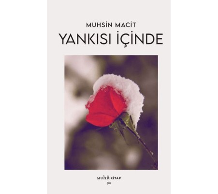 Yankısı İçinde